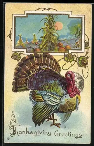 Präge-AK Thanksgiving, Truthahn vor einem herbstlichen Feld