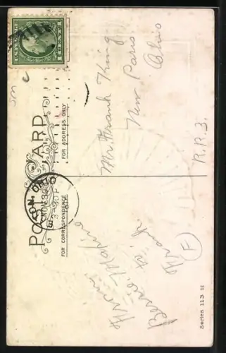 Präge-AK Thanksgiving, Truthahn vor einem herbstlichen Feld