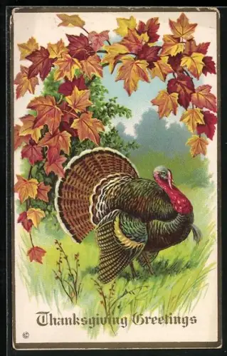Präge-AK Thanksgiving Greetings, Truthahn unter herbstlichen Ahornblättern