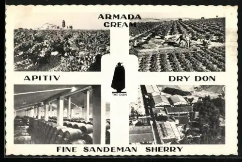 AK Jerez de la Frontéra, Sandeman Vineyards and Bodegas