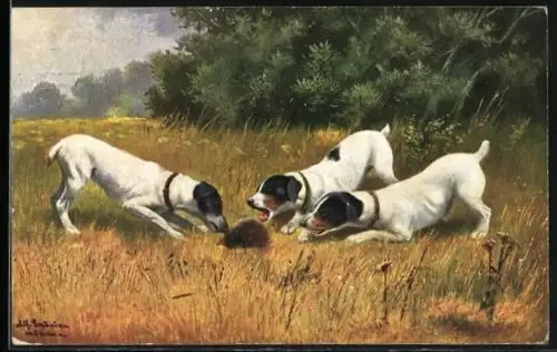 Künstler-AK Alfred Schönian: Drei Hunde und ein Igel