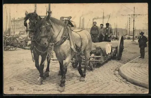 AK Anvers, chevaux de corporations