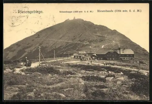 AK Riesengebirge, Riesenbaude und Schneekoppe