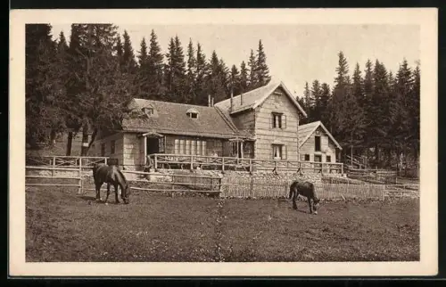 AK Unterberg-Schutzhaus, Pferde vor der Hütte