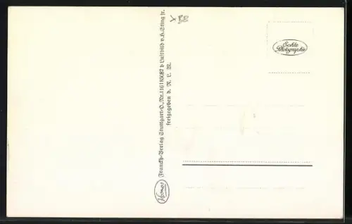 AK Friedrichshafen, Zeppelin über dem Bodensee