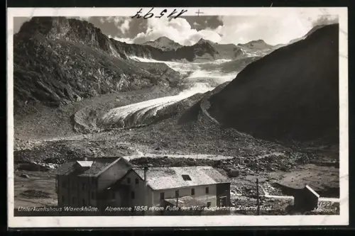 AK Unterkunftshaus Waxeckhütte, Berghütte am Fusse des Waxeckgletschers mit Alpenrose
