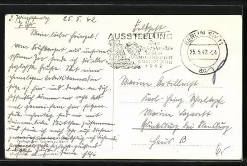 AK Berlin, Zoologischer Garten, Konzertplatz