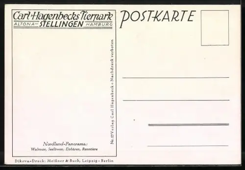 Künstler-AK Hamburg-Stellingen, Carl Hagenbecks Tierpark, Walrosse, Seelöwen, Eisbären