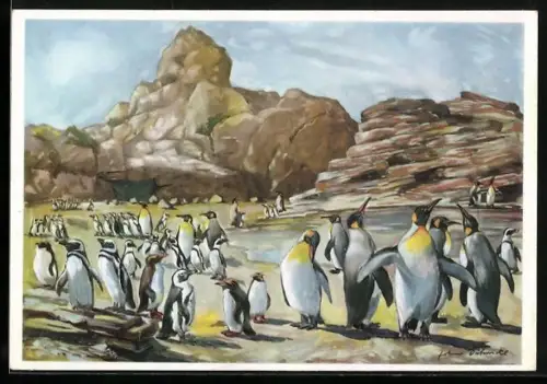Künstler-AK Hamburg-Stellingen, Carl Hagenbeck`s Tierpark, Südpolar-Panorama, Pinguin-Kolonie