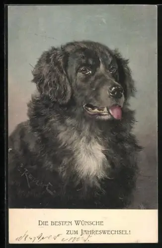 Künstler-AK Carl Reichert: Sitzender Hund mit Neujahrsgruss