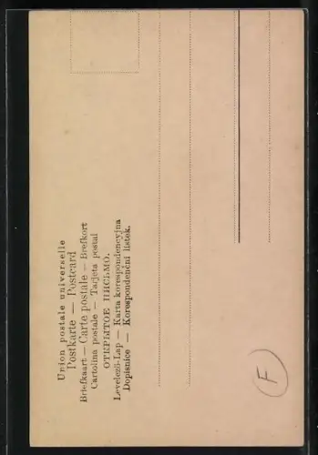 AK Portrait des Musikers Johannes Brahms