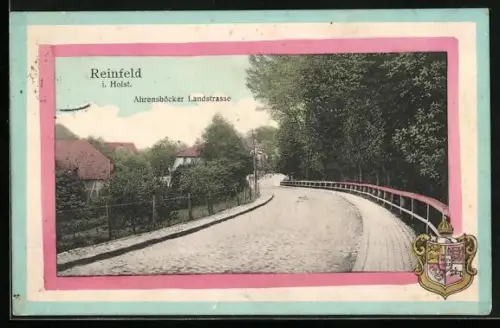 AK Reinfeld i. Holst., Ahrensböker Landstrasse