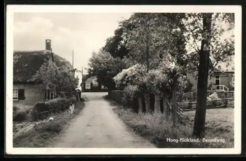 AK Hoog-Blokland, Beemdweg