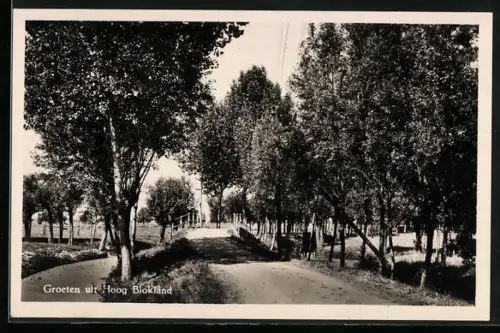 AK Hoog Blokland, Partie im Park