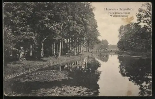 AK Haarlem-Heemstede, Park Groenendaal Waterlelievijver