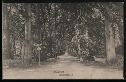 AK Haarlem, Spanjaardslaan