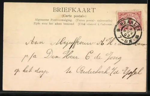 AK Haarlem, Hertenkamp