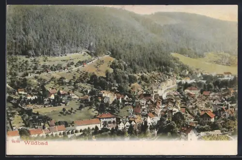 AK Wildbad / Schwarzwald, Ortsansicht aus der Vogelschau