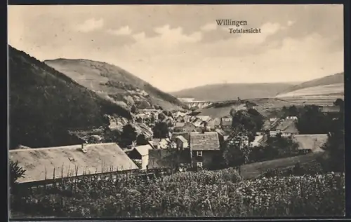 AK Willingen / Hochsauerland, Ortspanorama