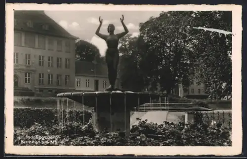 AK Bad Segeberg, Brunnen am Markt