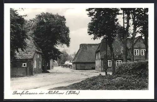 AK Nieblum /Föhr, Dorfstrasse