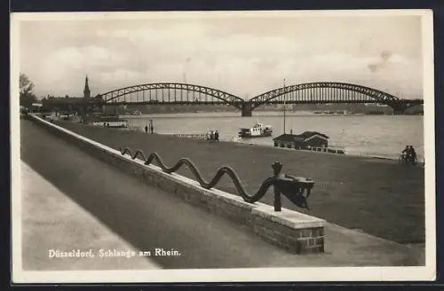 AK Düsseldorf, Schlange am Rhein