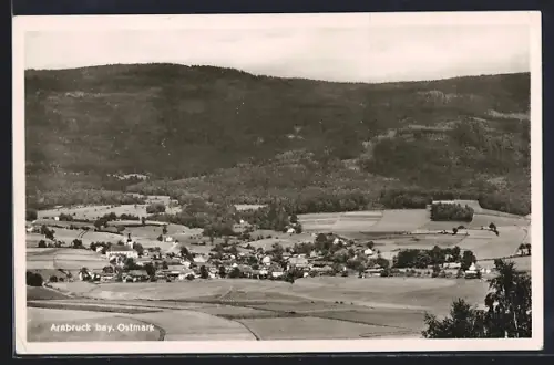AK Arnbruck /bay. Ostmark, Ortsansicht am Wald