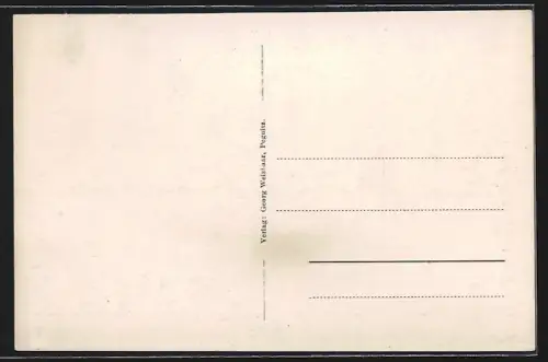 AK Pegnitz /Fränkische Schweiz, Blick zur Altstadt mit kath. Kirche