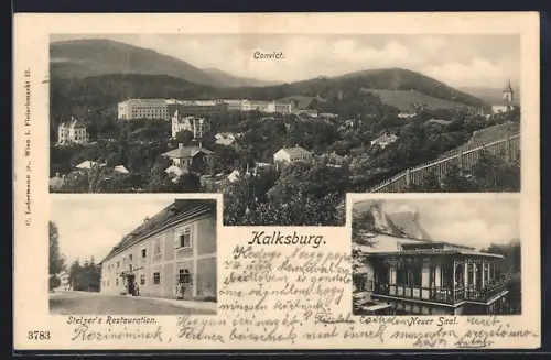 AK Wien-Kalksburg, Stelzers Restaurant, Neuer Saal, Ortsansicht aus der Vogelschau