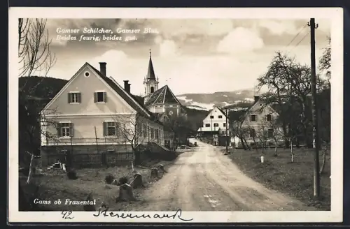 AK Gams ob Frauental, Strassenpartie mit Blick auf die Kirche