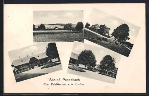 AK Feldkirchen a. D., Schloss Pesenbach mit Anlagen