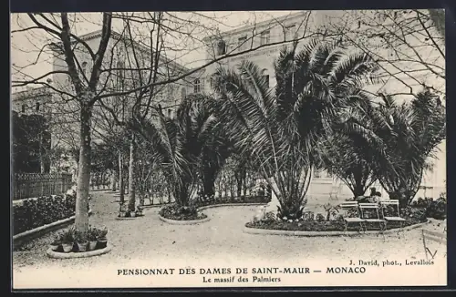 AK Monaco, Pensionnat des Dames de Saint-Maur, Le massif des Palmiers
