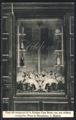 AK Madrid, Vista del escaprate de la Antigua Casa Botin, con sus célebres cochinilos, Plaza de Herrdadores 7