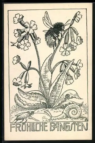 AK Biene auf einer Blume, Käfer, Schnecke, Pfingstgruss