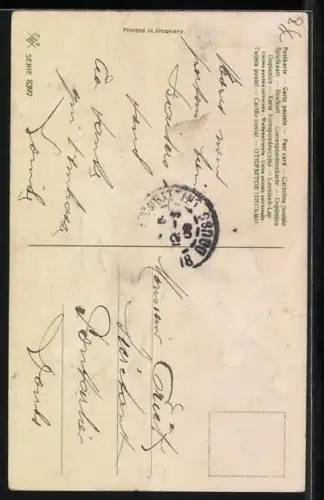 AK Boxer auf Schmetterlingsjagd auf einer Blumenwiese