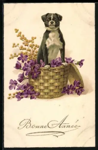 AK Hund in einem Spankorb voller Blumen, Neujahrsgruss