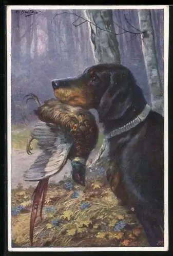 Künstler-AK Burton: Jagdhund mit erbeutetem Fasan