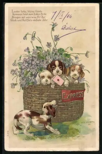 Präge-AK Beaglewelpen als Express-Sendung in einem Korb mit Blumen