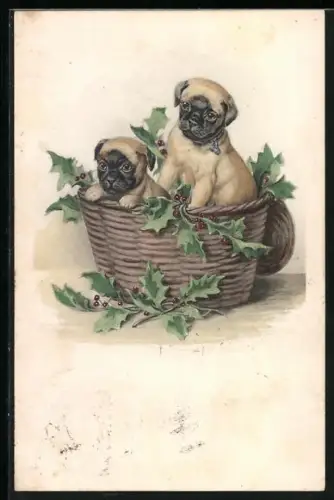 AK Zwei Boxerwelpen in einem Korb mit Stechpalme