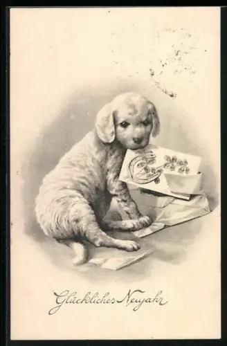 AK Hund trägt Brief mit Glücksbringern in der Schnauze, Neujahrsgruss
