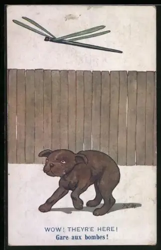 AK Kleiner Hund hält Libelle für einen feindlichen Flieger