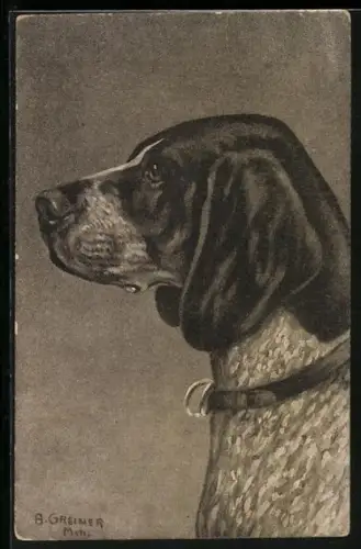 AK Münsterländer mit Halsband, Seitenportrait