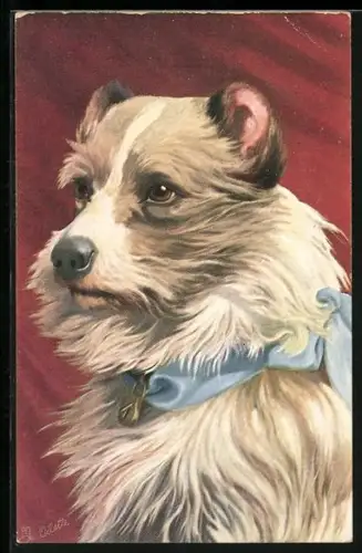 AK Englischer Rattenpinscher mit Halsschleife, Portrait