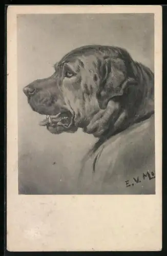 AK Jagdhund mit geöffneter Schnauze, Seitenportrait