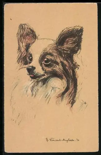 AK Kleiner Hund mit spitzer Schnauze, Portrait