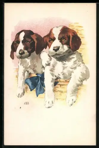 AK Zwei Bernhardinerwelpen und eine blaue Schleife
