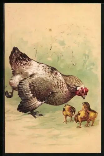 AK Henne mit ihren Küken