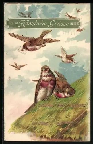 AK Vögel mit Briefen unterwegs, Grusskarte
