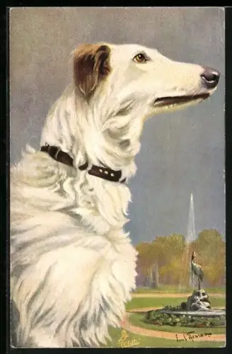 AK Windhund im Park vor einem Springbrunnen