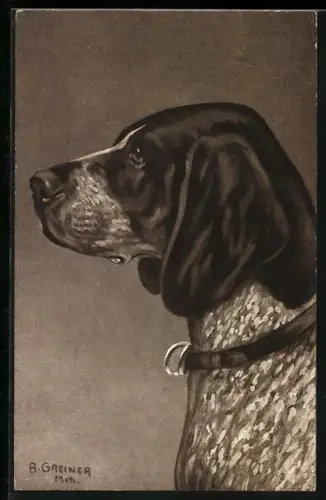 AK Münsterländer mit Halsband, von der Seite gesehen